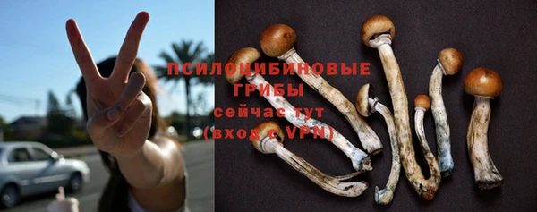 хмурый Абаза