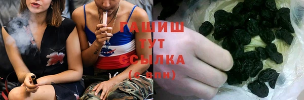 хмурый Абаза