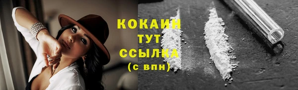 хмурый Абаза