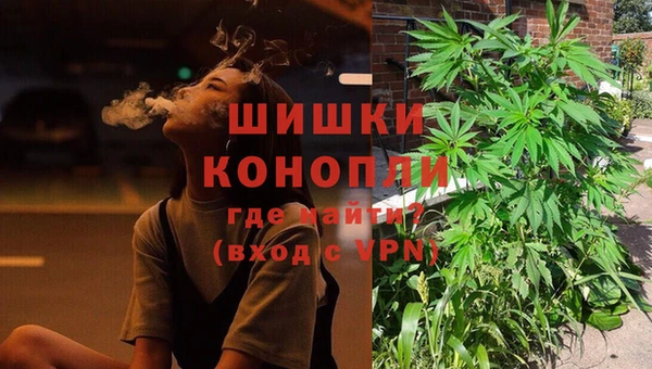 хмурый Абаза