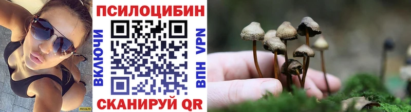 blacksprut онион  Альметьевск  Псилоцибиновые грибы ЛСД 